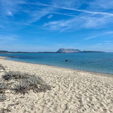Iss Travel, San Teodoro 1 - 100 M From Cala D'Ambra Beach Extérieur photo