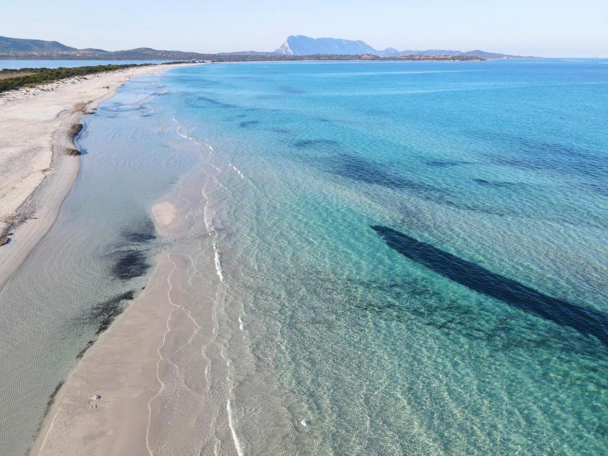 Iss Travel, San Teodoro 1 - 100 M From Cala D'Ambra Beach Extérieur photo