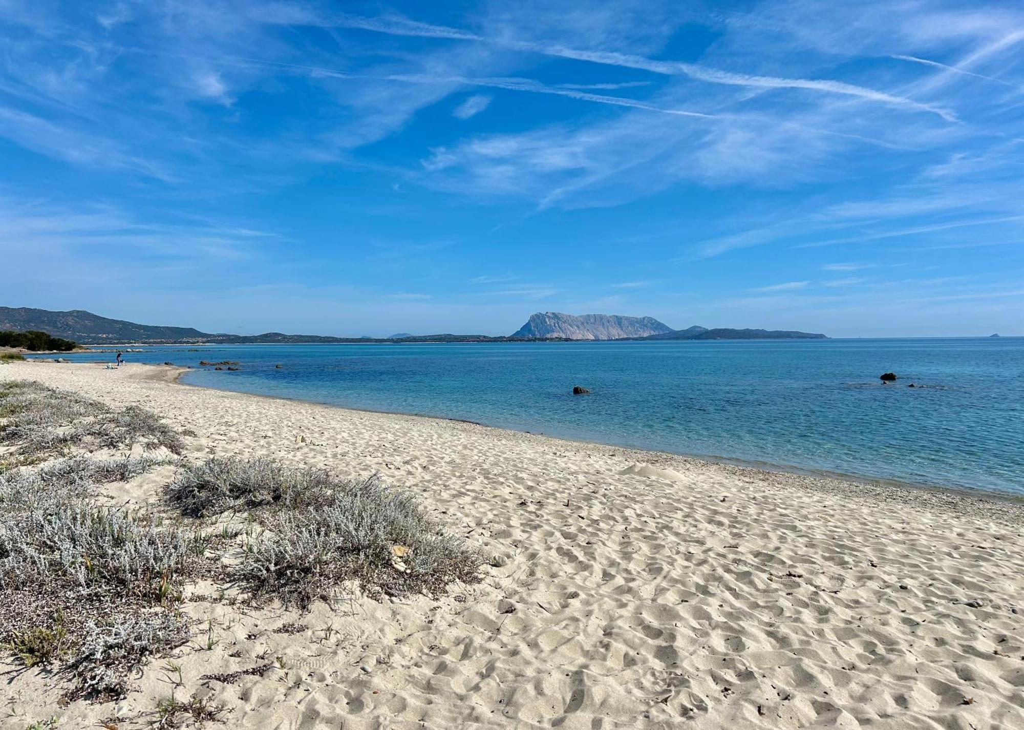 Iss Travel, San Teodoro 1 - 100 M From Cala D'Ambra Beach Extérieur photo